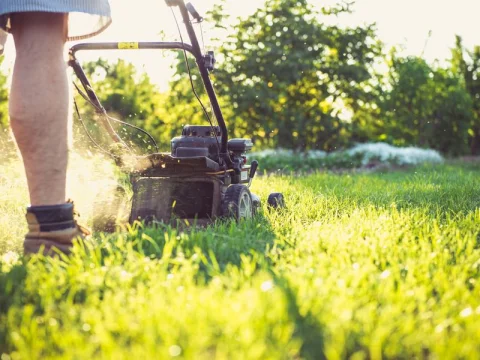 Person mowing a lawn with a push mower